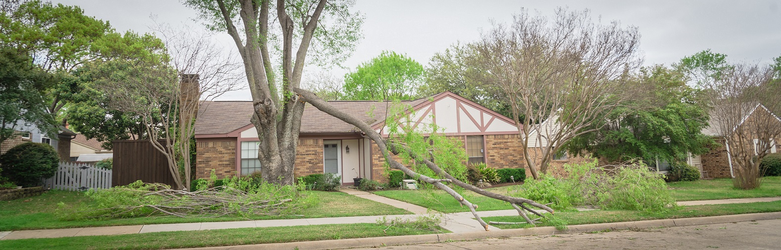 house with tree that has fallen on the roof